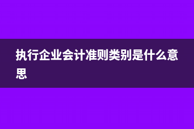 执行企业会计准则情况怎么填(执行企业会计准则类别是什么意思)