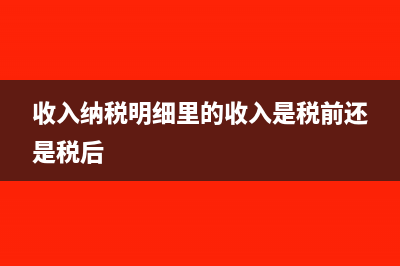 收入纳税明细里有未存在的单位怎么办(收入纳税明细里的收入是税前还是税后)