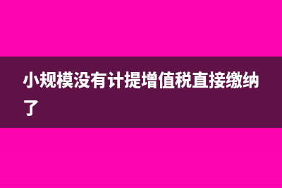 小规模没有计提增值税直接支付怎么做(小规模没有计提增值税直接缴纳了)