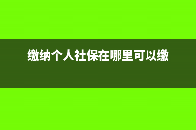 缴纳个人社保在现金流量表里属于哪一类(缴纳个人社保在哪里可以缴)