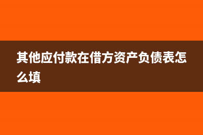 其他应付款在借方和贷方是什么意思(其他应付款在借方资产负债表怎么填)