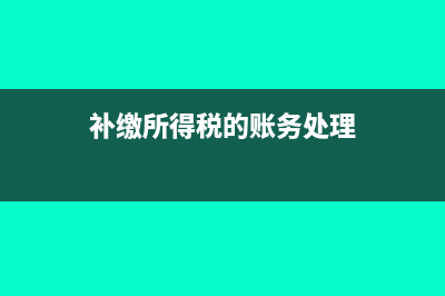 补缴所得税资产负债表怎么调整(补缴所得税的账务处理)