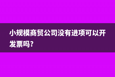 小规模电商没进项发票怎么办(小规模商贸公司没有进项可以开发票吗?)