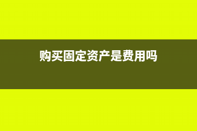 购买固定资产是记应付还是其他应付(购买固定资产是费用吗)