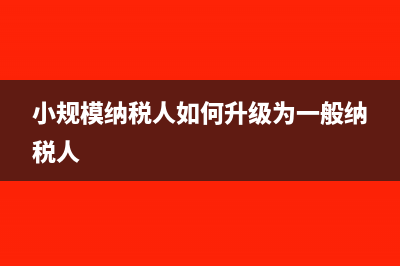 小规模纳税人如何报税(小规模纳税人如何升级为一般纳税人)