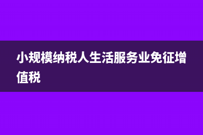 小规模纳税人生产经营所得申报表b表怎么填(小规模纳税人生活服务业免征增值税)