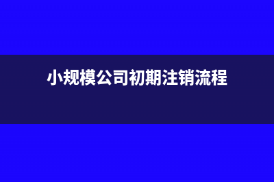 小规模公司初期怎么建账(小规模公司初期注销流程)
