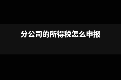 分公司的所得税是独立核算还是一起核算的(分公司的所得税怎么申报)