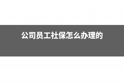 公司员工社保怎么交(公司员工社保怎么办理的)