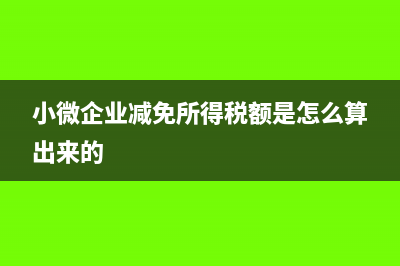 小微企业减免所得税额B类怎么填(小微企业减免所得税额是怎么算出来的)