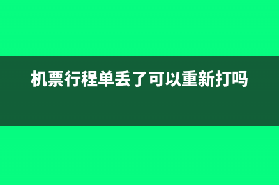机票行程单丢了怎么报销(机票行程单丢了可以重新打吗)