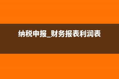 纳税申报 财务数据申报错误怎么修改(纳税申报 财务报表利润表)