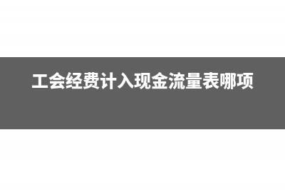 工会经费计入现金流量表的哪个项目(工会经费计入现金流量表哪项)