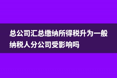 开具16个点发票情况说明