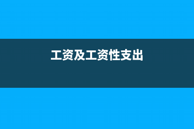工资性支出财务如何处理(工资及工资性支出)