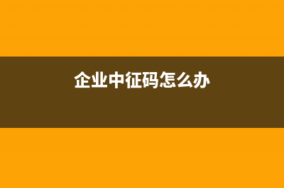企业中征码怎么填(企业中征码怎么办)