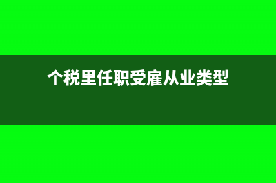 个税里任职受雇从业日期怎么填(个税里任职受雇从业类型)