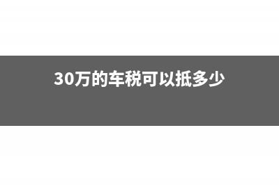 30万的车税可以抵多少所得税(30万的车税可以抵多少钱)