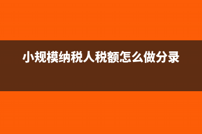 小规模纳税人怎么升级一般纳税人？(小规模纳税人怎样报税)