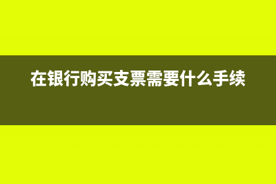 在银行购买支票的单据丢了怎么做账？(在银行购买支票需要什么手续)