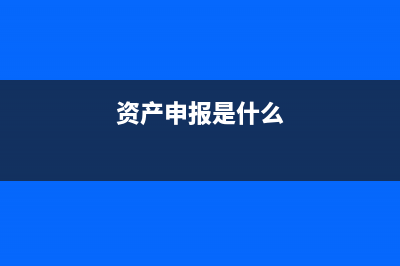 申报的企业资产负债表在哪里查询(资产申报是什么)