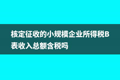 核定征收的小规模纳税人如何中途建账(核定征收的小规模企业所得税B表收入总额含税吗)