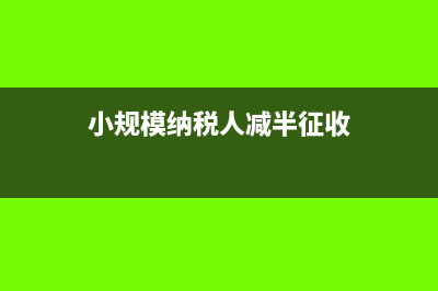 服务、不动产和无形资产包括哪些(服务,不动产和无形资产扣除项目本期实际扣除金额)