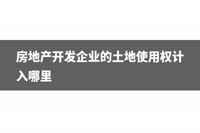 分公司非独立核算自己开票怎么做账(分公司非独立核算是什么意思)