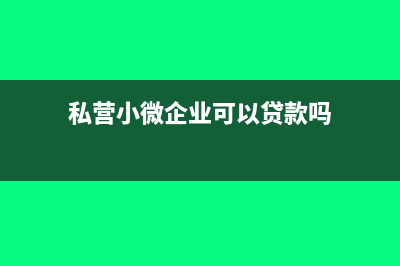 私营小微企业可以计提工会经费吗(私营小微企业可以贷款吗)