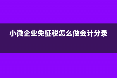 小微企业暂免征收如何报税？(小微企业免征税怎么做会计分录)