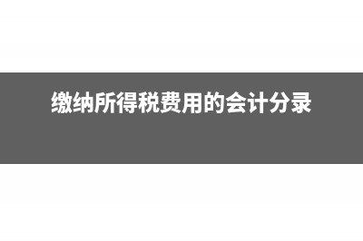 缴纳所得税时应按企税还是个税征收(缴纳所得税费用的会计分录)