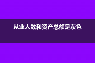 从业人数和资产总额具体计算方法(从业人数和资产总额是灰色)
