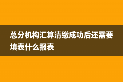 总分机构汇算清缴要如何处理(总分机构汇算清缴成功后还需要填表什么报表)