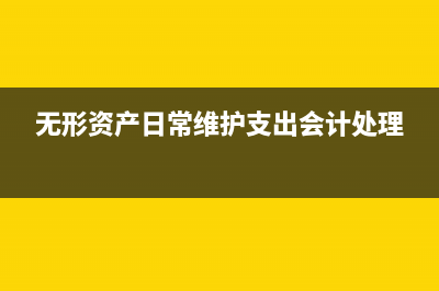 无形资产维护的支出进什么科目(无形资产日常维护支出会计处理)
