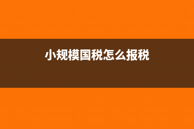 小规模国税税务申报如何进行网上申报？(小规模国税怎么报税)