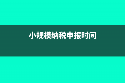 小规模纳税申报表的填列资料怎么填？(小规模纳税申报时间)