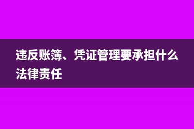 违反账簿、凭证管理要承担什么法律责任