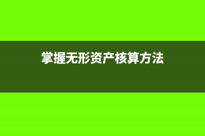 掌握无形资产核算的主要内容(掌握无形资产核算方法)
