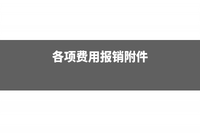 费用报销只附一张发票可以吗(各项费用报销附件)