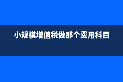 一般纳税人辅导期的进项处理(一般纳税人辅导期)