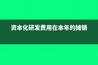 资本化研发费用加计扣除如何填表(资本化研发费用在本年的摊销)