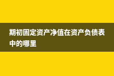 期初固定资产净值计算(期初固定资产净值在资产负债表中的哪里)