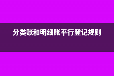 分类账和明细账的区别(分类账和明细账平行登记规则)
