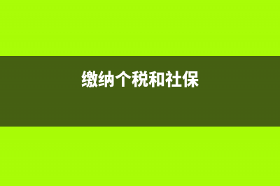 个税和社保都由公司承担怎么做分录(缴纳个税和社保)
