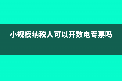 小规模纳税人可以查账征收吗(小规模纳税人可以开数电专票吗)