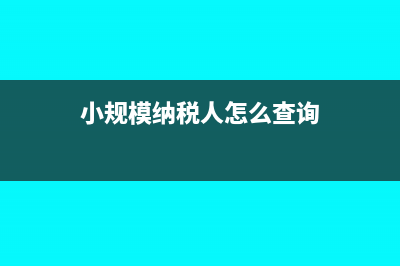小规模纳税人怎么开具普通发票?(小规模纳税人怎么查询)