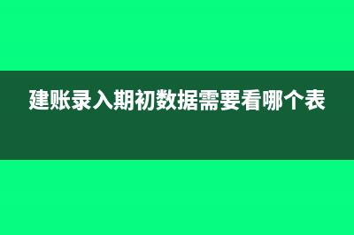 建账期初数据漏记一笔长期借款怎么办？(建账录入期初数据需要看哪个表)