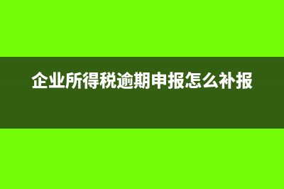 企业所得税逾期未申报怎么处理？(企业所得税逾期申报怎么补报)