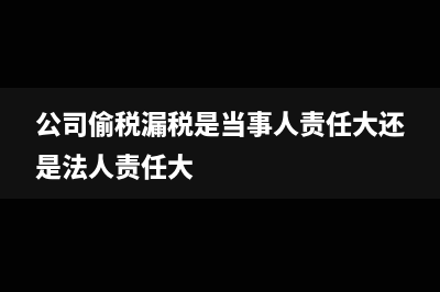 公司偷税漏税是否需要办税人员承担责任？(公司偷税漏税是当事人责任大还是法人责任大)