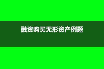融资购买无形资产如何做财务处理合适？(融资购买无形资产例题)